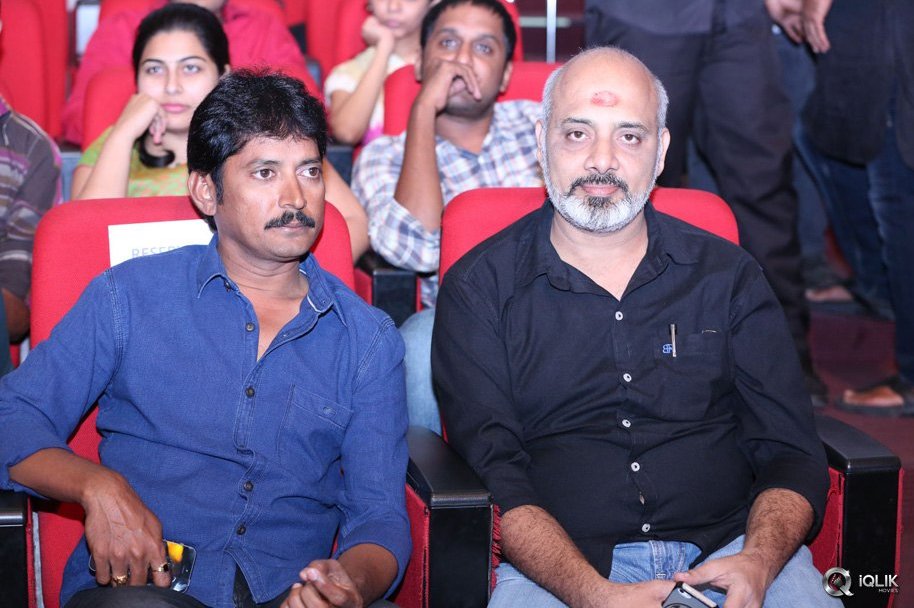 Srimanthudu-Movie-Thank-You-Function